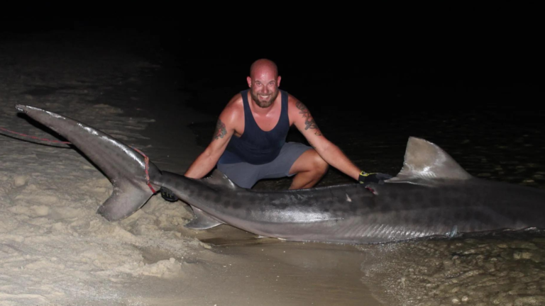Florida fisher man gets humongous 12-foot tiger shark