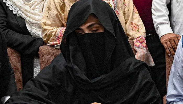 Bushra Bibi provided details of 12 cases